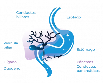 padecimiento-cpre-5 copy CPRE Procedimiento